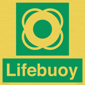 Lifebuoy